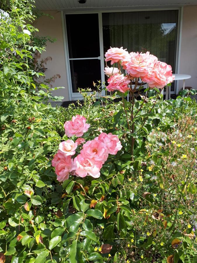 Entire House, Quiet City Location, Garden, Parking Bielefeld Exterior foto